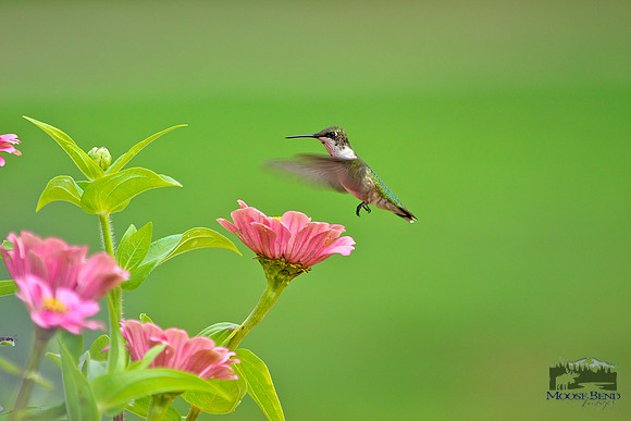 In Mid Air