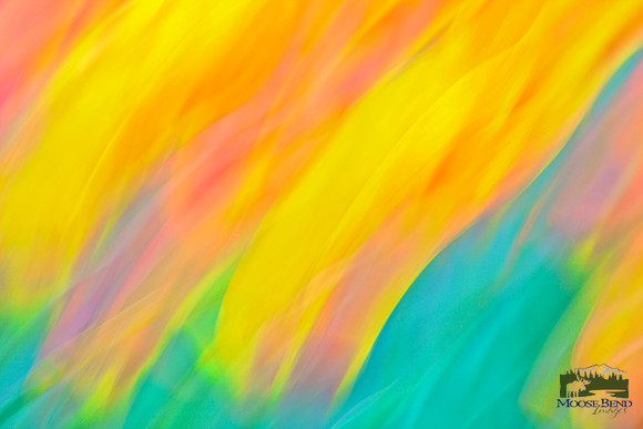 Tulips - Abstract