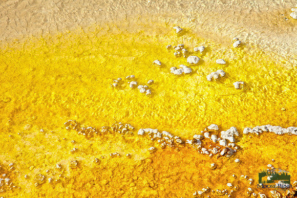 Yellowstone Abstract