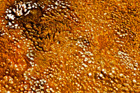 Yellowstone Abstract