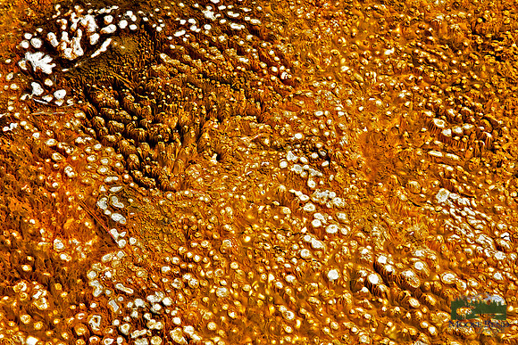 Yellowstone Abstract