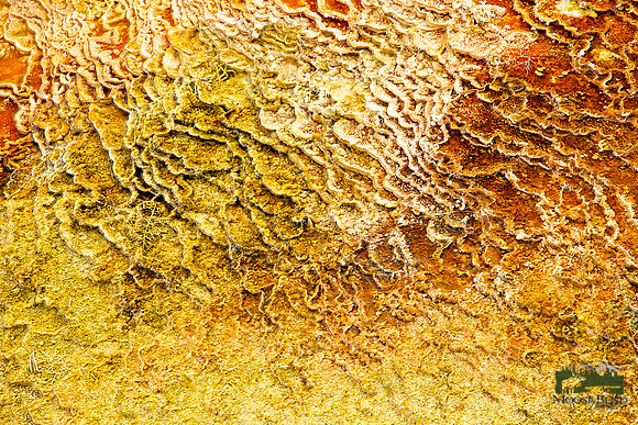 Yellowstone Abstract