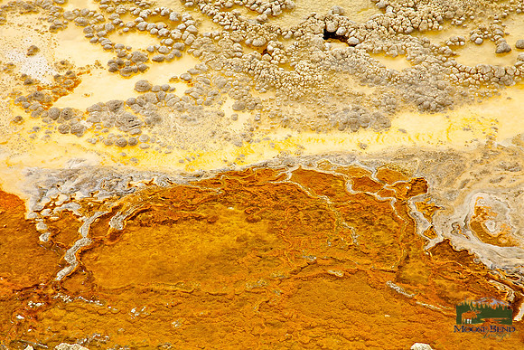 Geyser Basin Abstract I