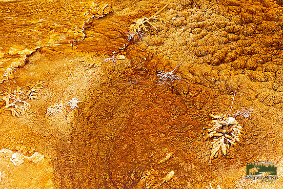 Yellowstone Abstract