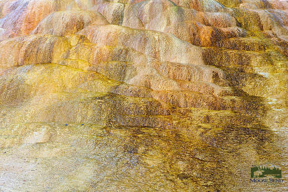 Palette of Colors