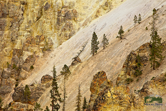 Abstract - Grand Canyon of Yellowstone
