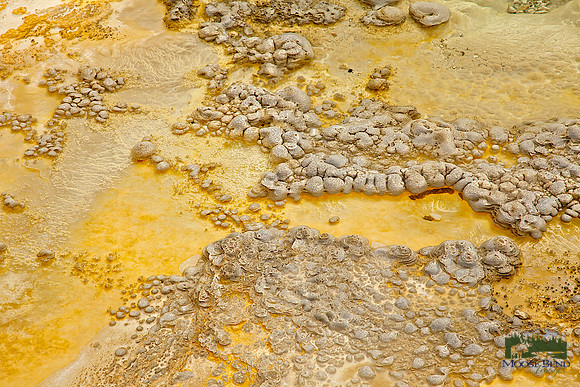 Geyser Basin Abstract IV