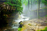 Morning Fog After a Heavy Rain