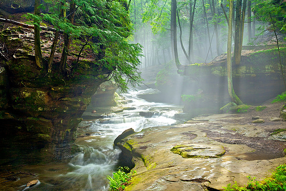Morning Fog After a Heavy Rain