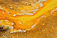 Yellowstone Abstract - Elbow II