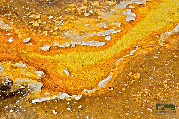 Yellowstone Abstract - Elbow II