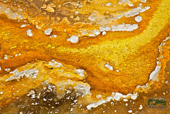 Yellowstone Abstract - Elbow III