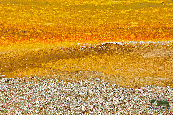 Yellowstone Abstract