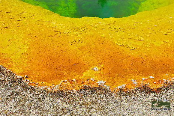 Yellowstone Abstract