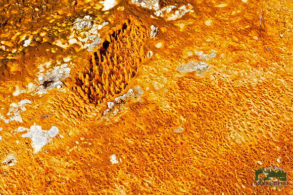 Yellowstone Abstract