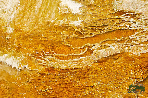 Mammoth Hot Springs - Abstract