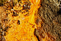 Yellowstone Abstract