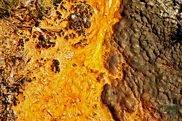 Yellowstone Abstract