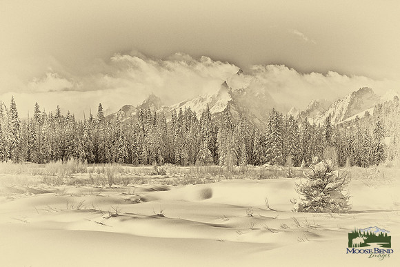 Tetons from Pacific Creek II
