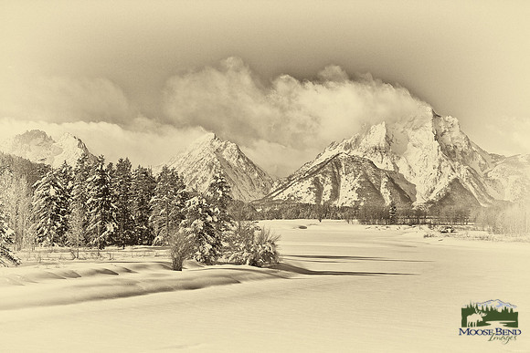 Tetons from Oxbow Bend