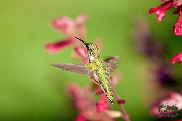 Mid-flight