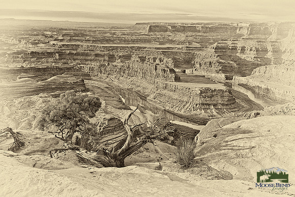 Dead Horse Point
