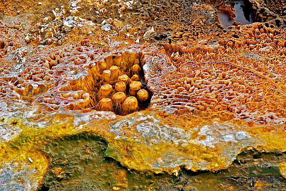 Yellowstone Abstract