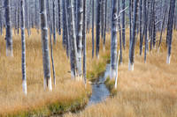 Shifting Hotspot - Yellowstone