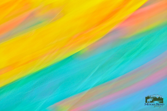 Tulips - Abstract
