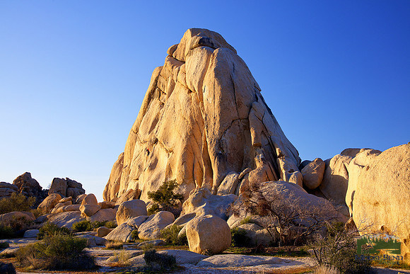 Evening Climb at Joshua Tree National Park