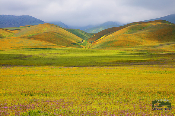 Colors of Carrizo Plain