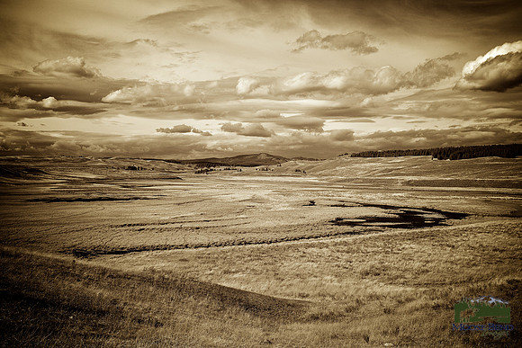 Hayden Valley