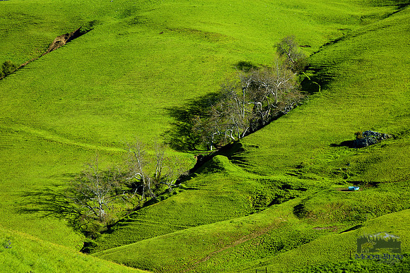 Green Valley