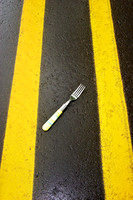Fork in the Road