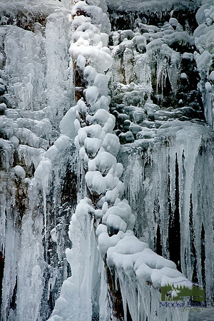 Ice Sculpture