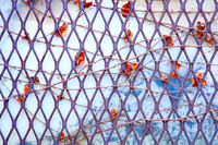Windows Abstract - No. 6