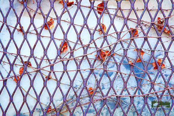 Windows Abstract - No. 6