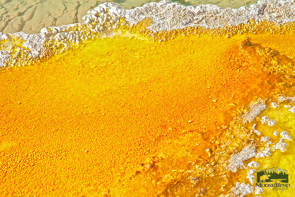 Yellowstone Abstract