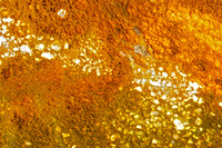 Geyser Basin - Abstract III