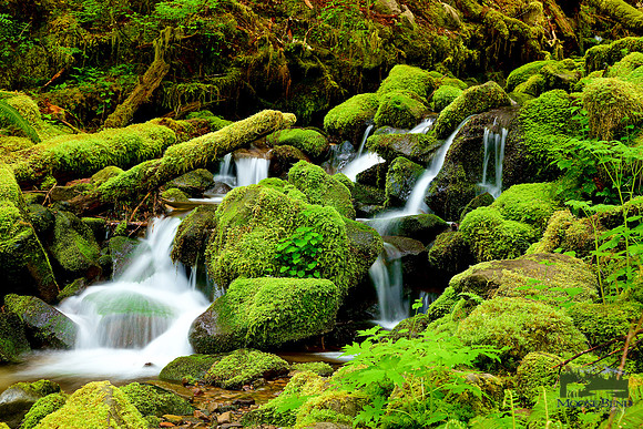 Mountain Cascade