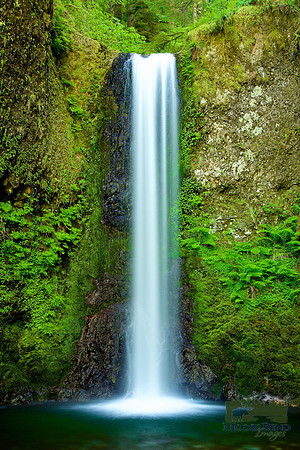 Ecola Falls