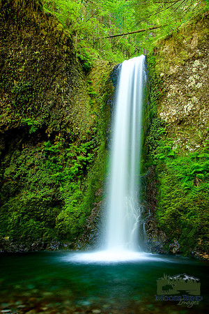Ecola Falls