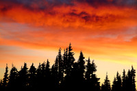 Sunset on Hurricane Ridge