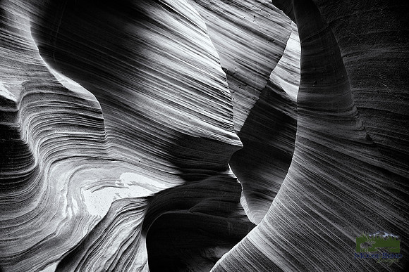 Twists & Turns