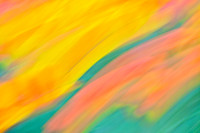 Tulips - Abstract