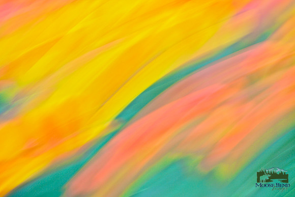 Tulips - Abstract