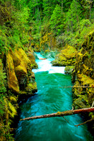 Downriver from Silver Falls