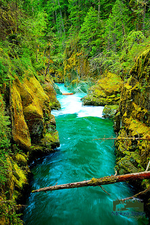 Downriver from Silver Falls
