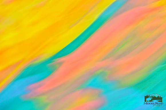 Tulips - Abstract