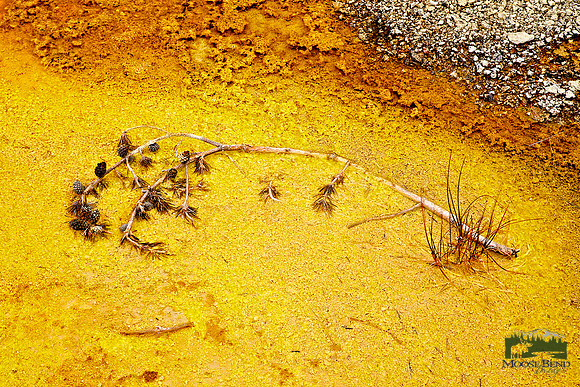 Yellowstone Abstract